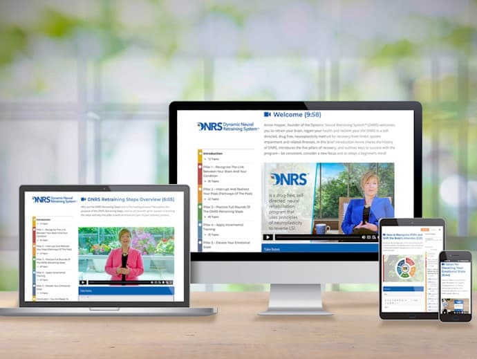 DNRS (Dynamic Neural Retraining System)