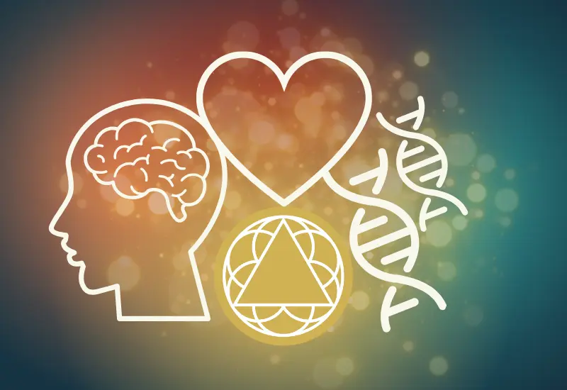 Primal Trust Academy - Brain Retraining and Nervous System Regulation