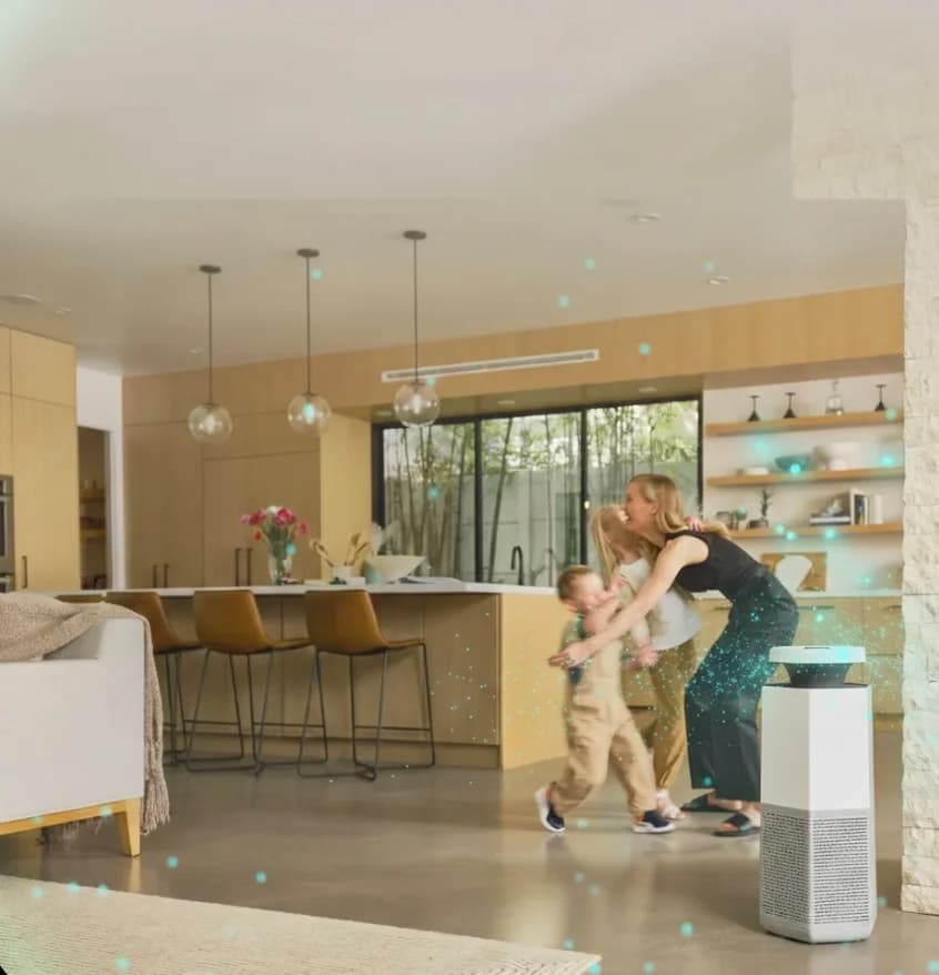 Air Purification for Mold Recovery: What Actually Works (And What Doesn't)